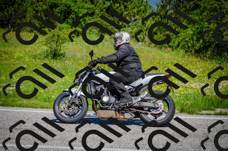 202506011106-DSC_2927_c2