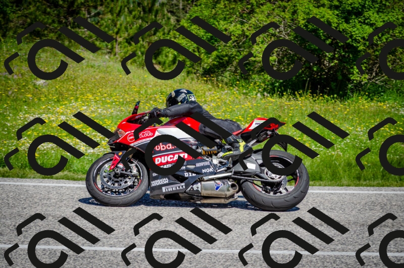 202506011106-DSC_2931_c2