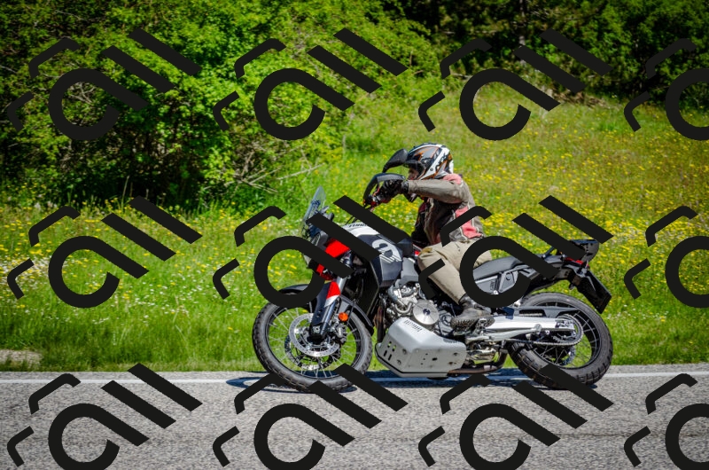 202506011106-DSC_2940_c2