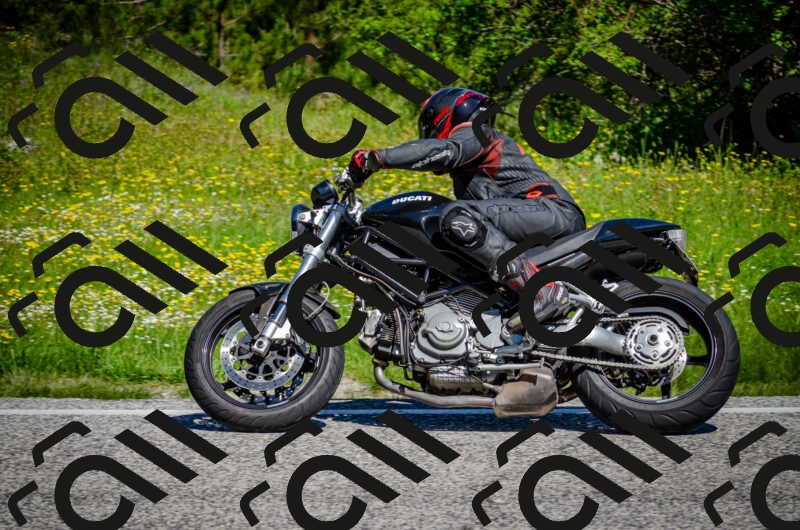 202506011106-DSC_2949_c2