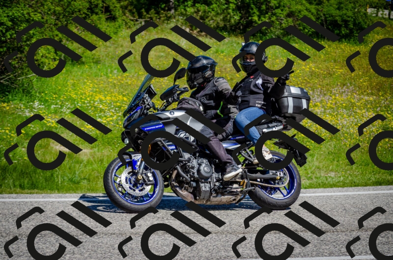 202506011107-DSC_2956_c2