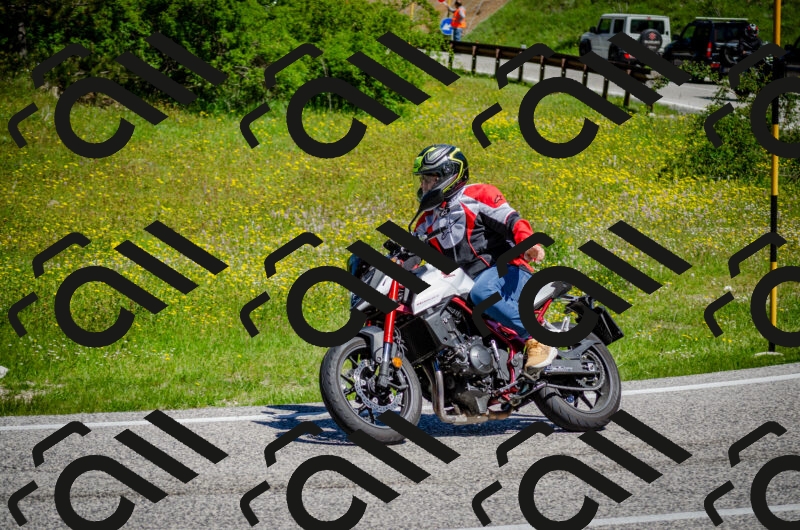 202506011107-DSC_2957_c2