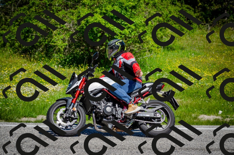 202506011107-DSC_2958_c2