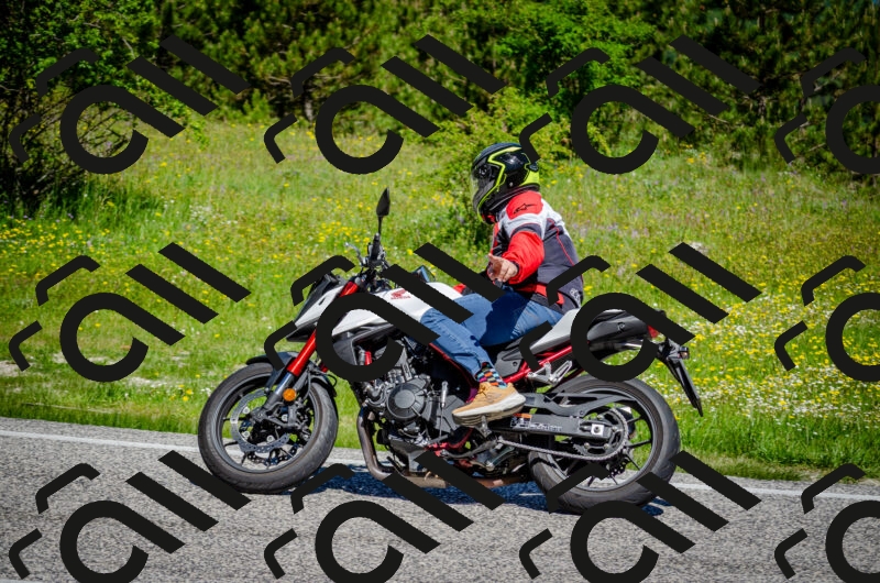 202506011107-DSC_2959_c2