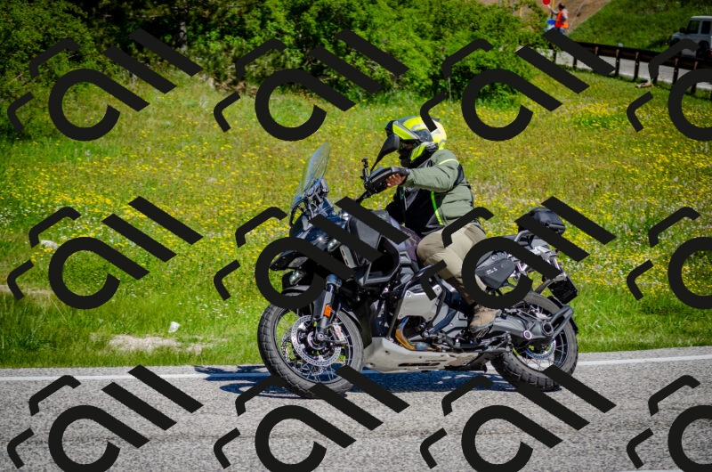 202506011107-DSC_2962_c2