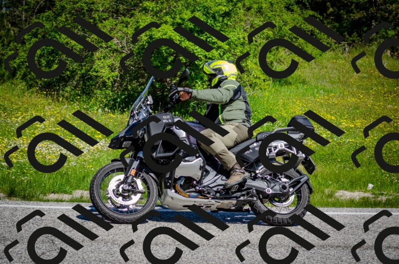 202506011107-DSC_2963_c2