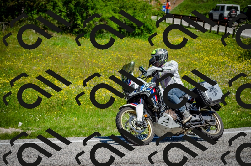 202506011107-DSC_2966_c2