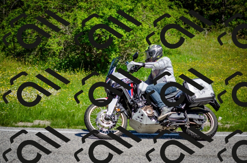 202506011107-DSC_2967_c2