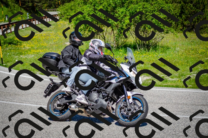 202506011108-DSC_2977_c2