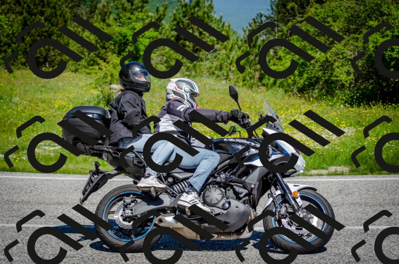 202506011108-DSC_2978_c2