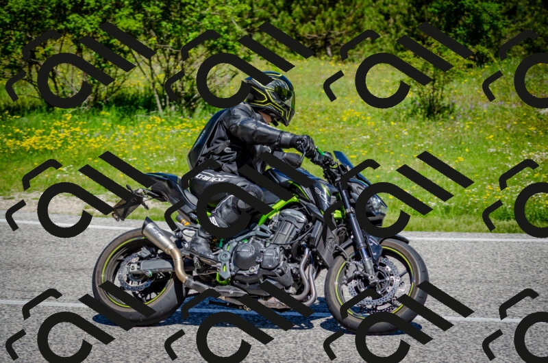 202506011108-DSC_2980_c2