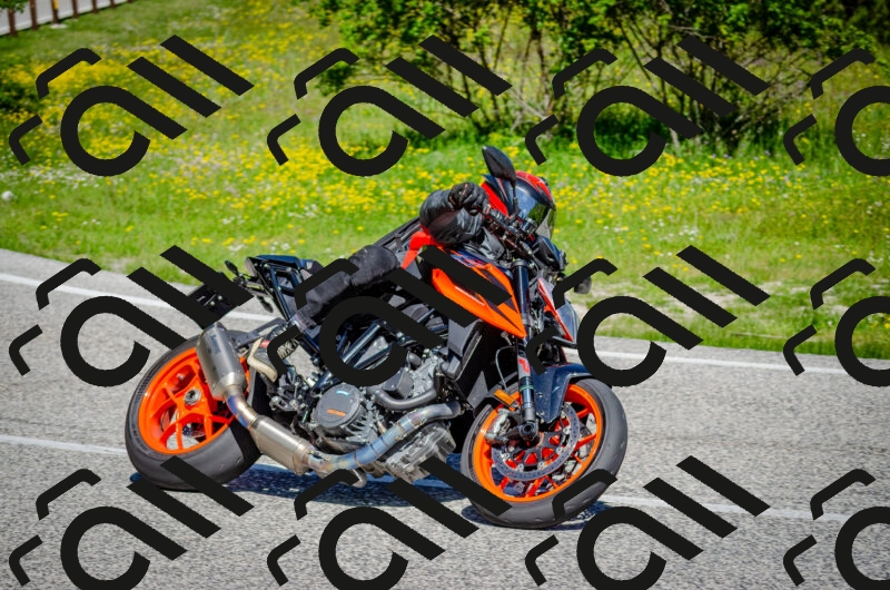 202506011108-DSC_2983_c2