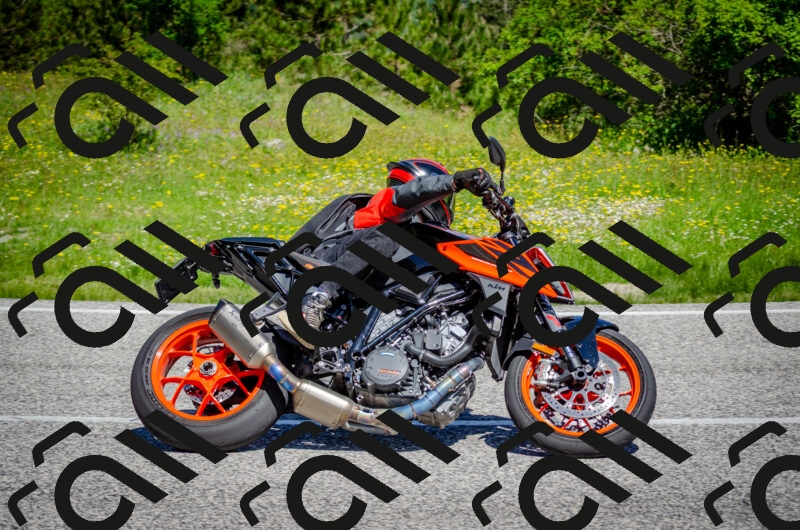 202506011108-DSC_2984_c2