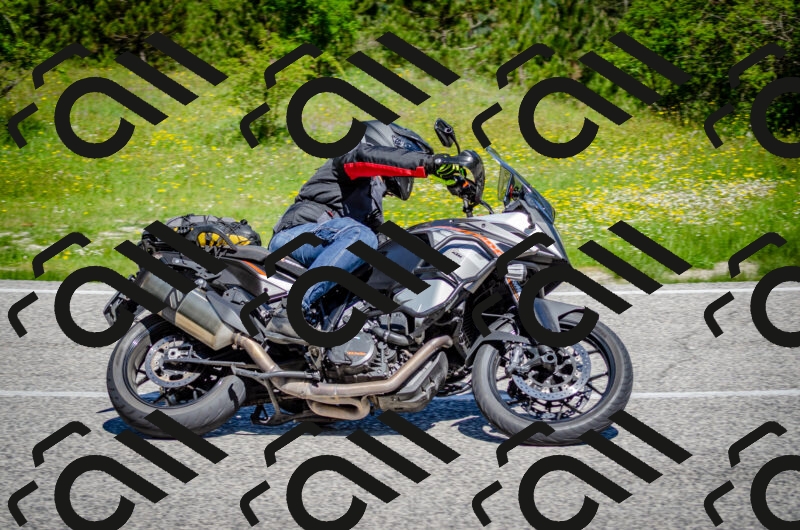 202506011108-DSC_2985_c2