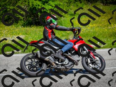 202506011108-DSC_2991_c2