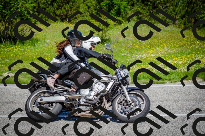 202506011108-DSC_2993_c2