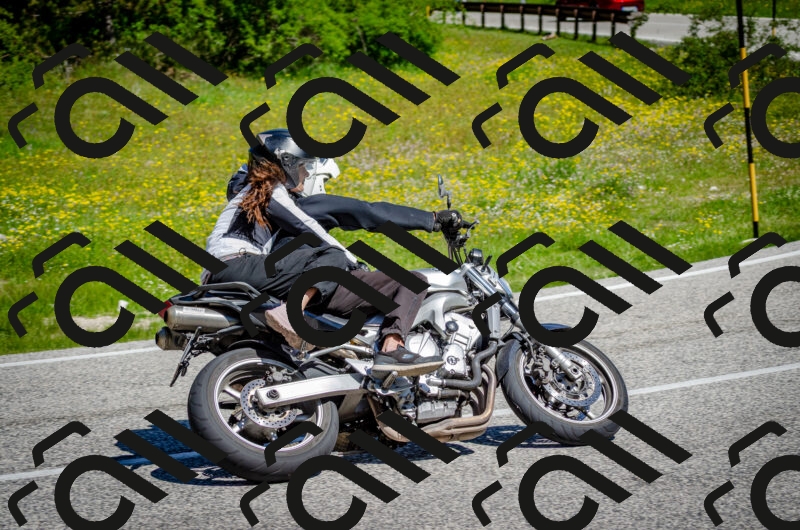 202506011108-DSC_2994_c2