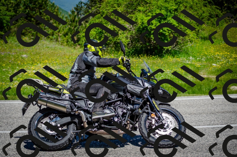 202506011109-DSC_2997_c2