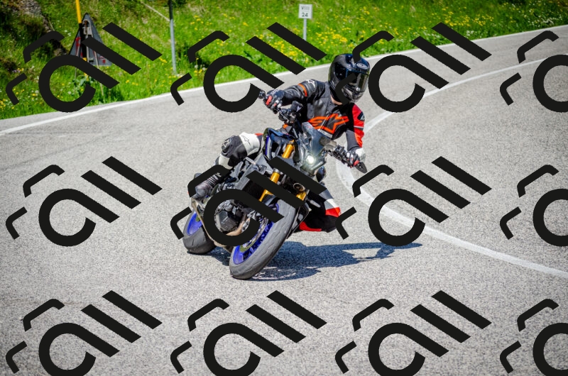 202506011109-DSC_2998_c2