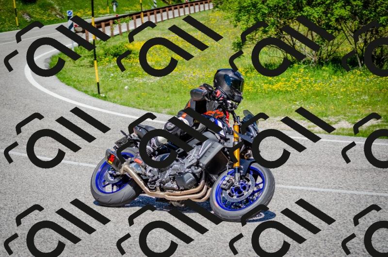 202506011109-DSC_2999_c2