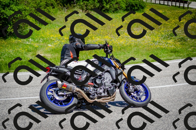 202506011109-DSC_3000_c2