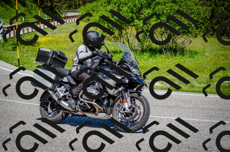 202506011109-DSC_3015_c2