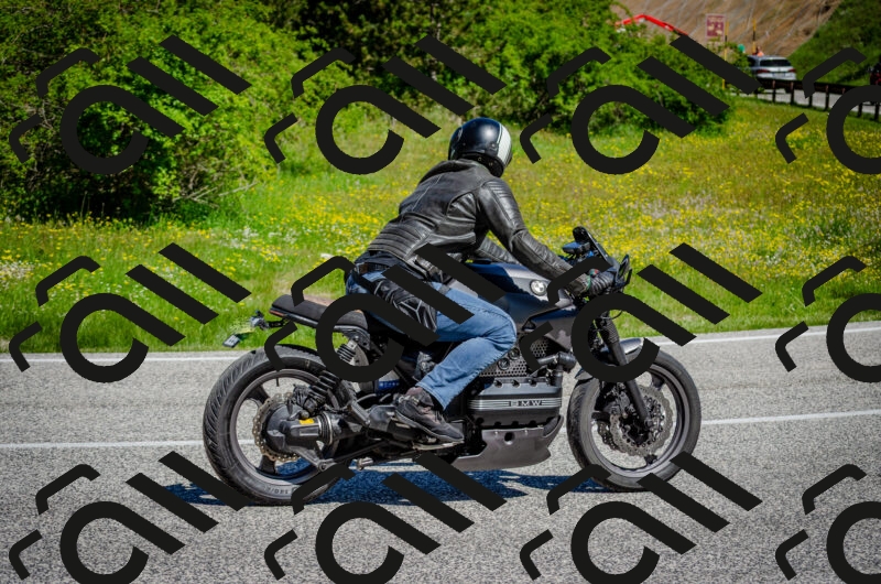 202506011109-DSC_3019_c2