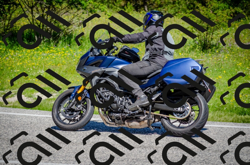 202506011110-DSC_3021_c2