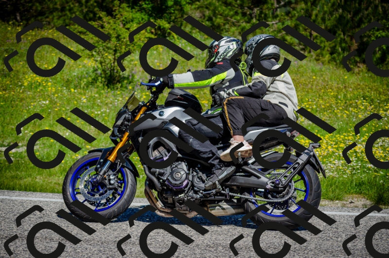 202506011110-DSC_3022_c2