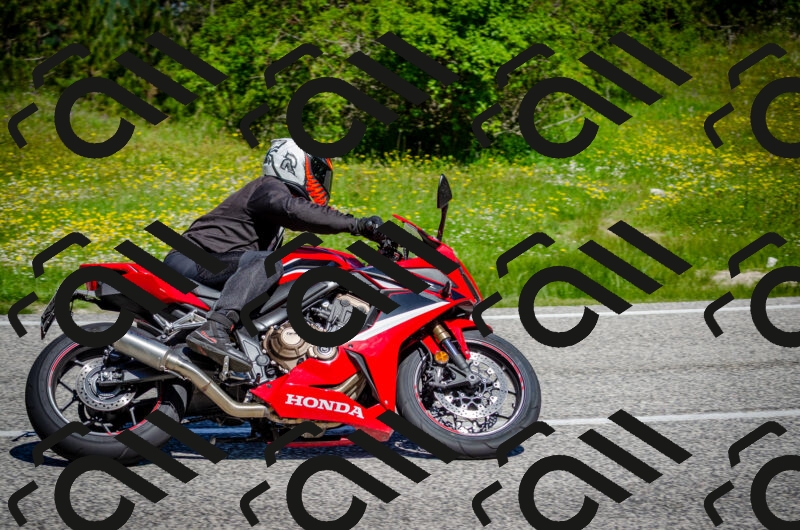 202506011110-DSC_3025_c2