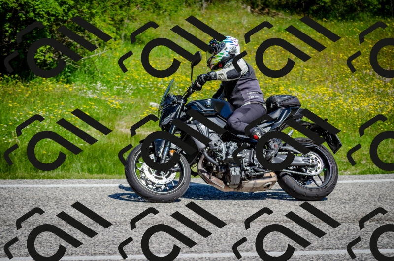 202506011111-DSC_3031_c2