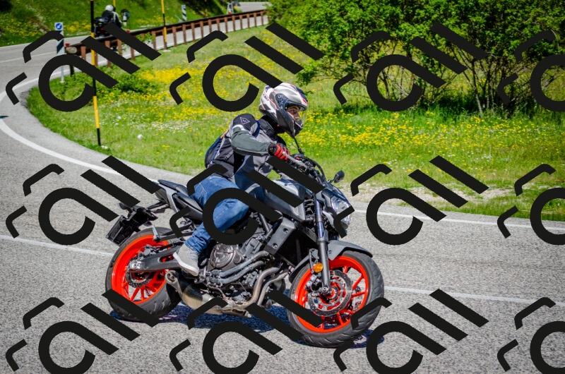 202506011111-DSC_3033_c2