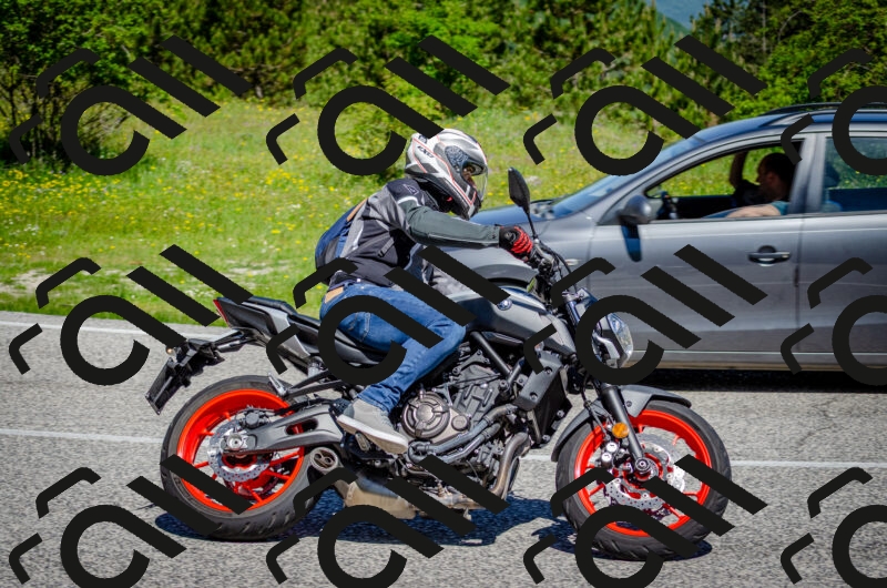 202506011111-DSC_3034_c2