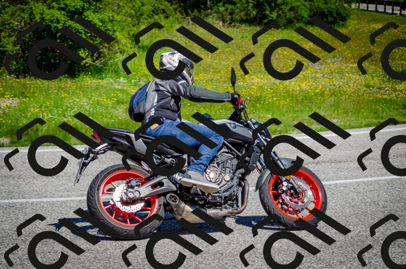 202506011111-DSC_3035_c2