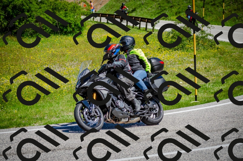 202506011111-DSC_3036_c2