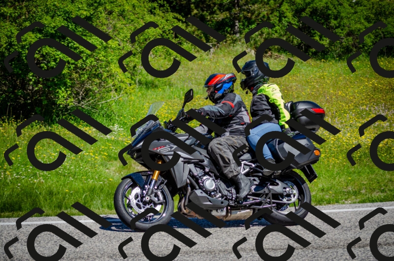 202506011111-DSC_3037_c2