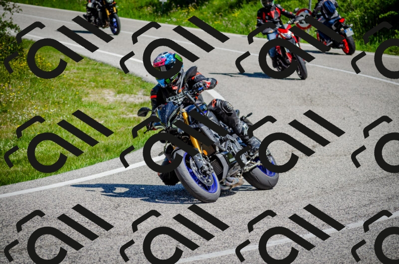 202506011111-DSC_3038_c2