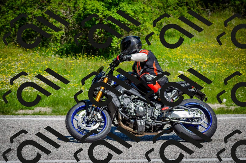 202506011111-DSC_3042_c2