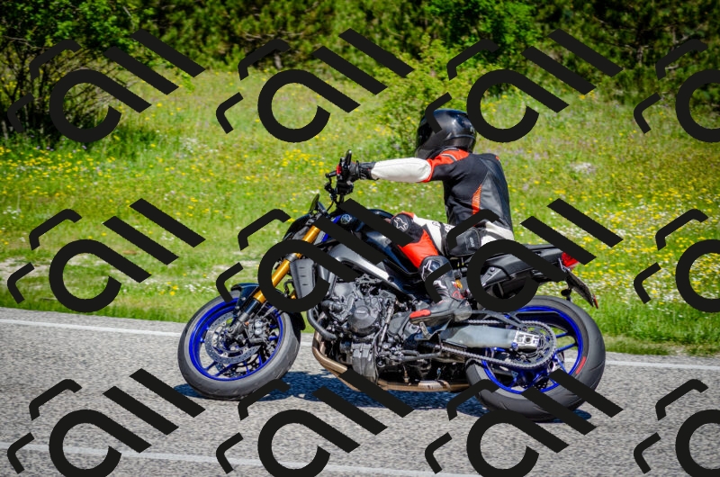 202506011111-DSC_3043_c2