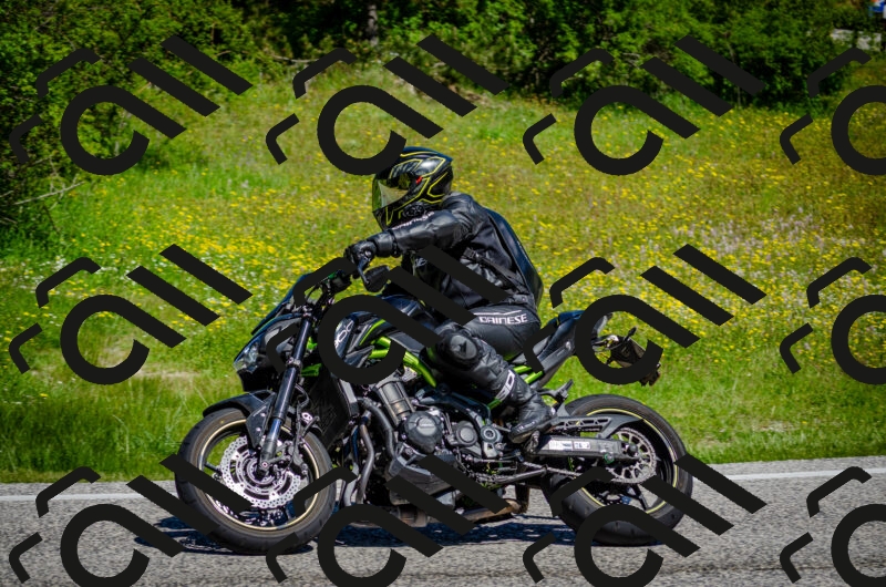 202506011111-DSC_3045_c2