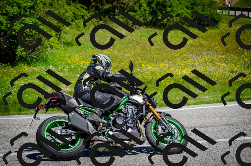 202506011111-DSC_3048_c2