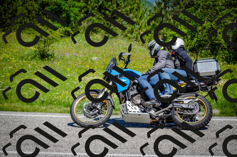 202506011111-DSC_3053_c2