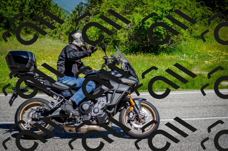 202506011112-DSC_3061_c2