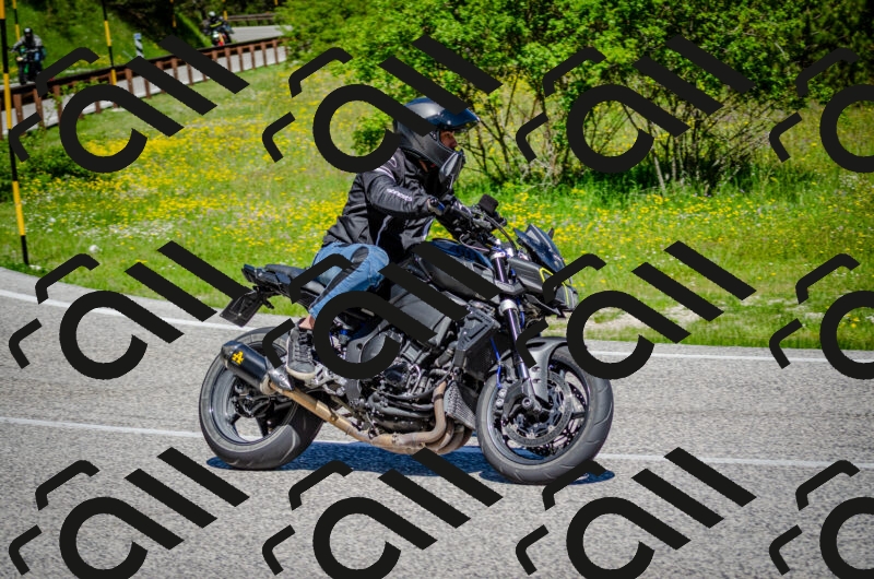 202506011112-DSC_3066_c2