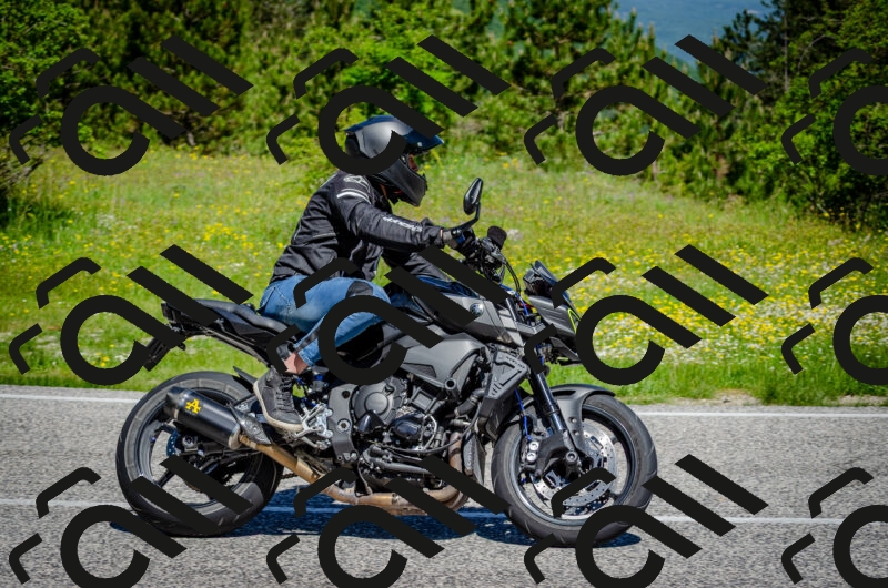 202506011112-DSC_3067_c2