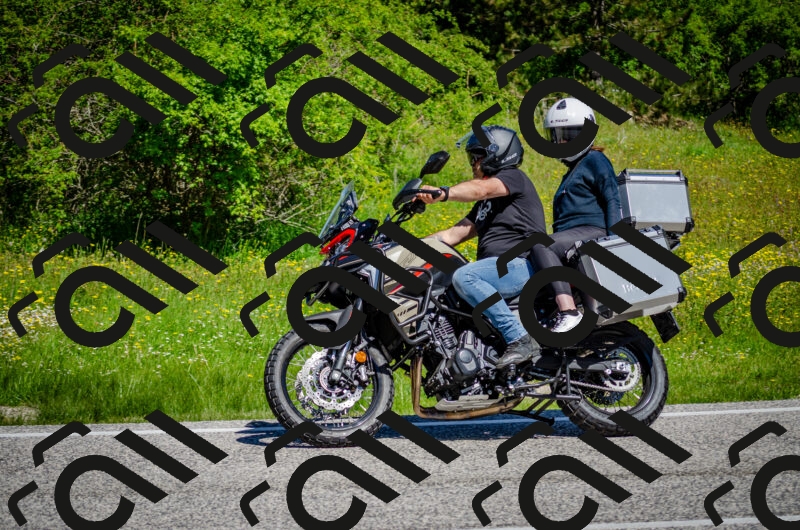 202506011112-DSC_3068_c2