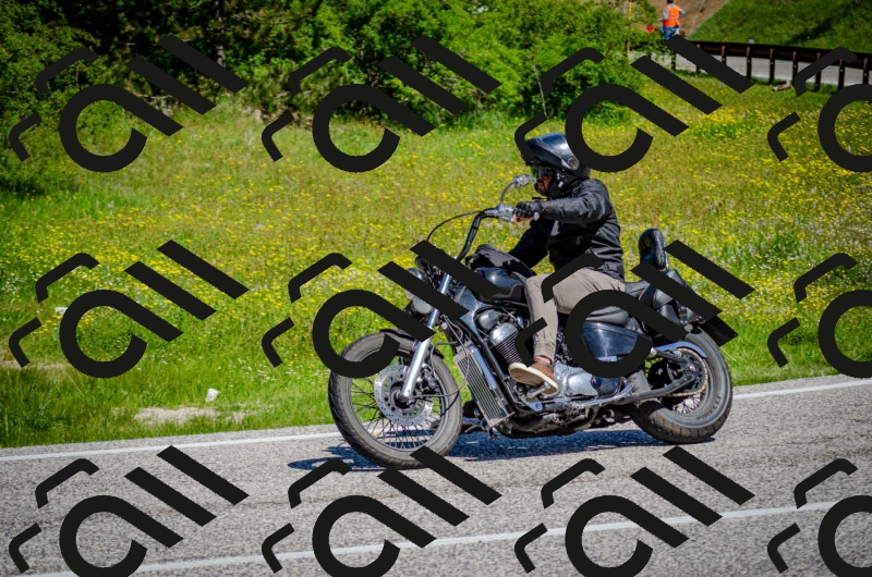 202506011112-DSC_3069_c2