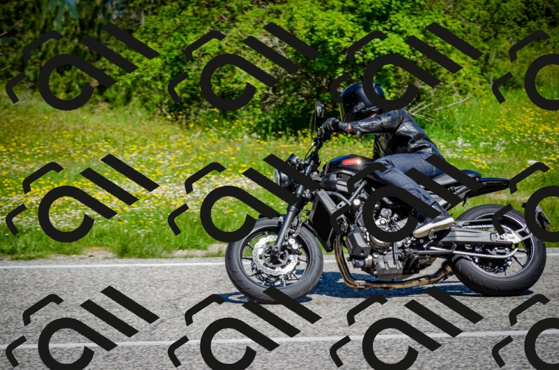 202506011112-DSC_3071_c2