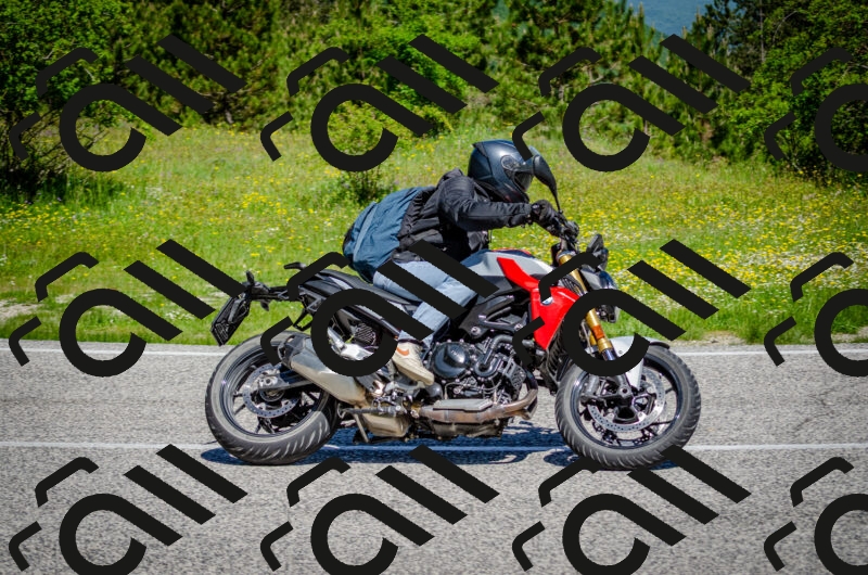 202506011113-DSC_3077_c2