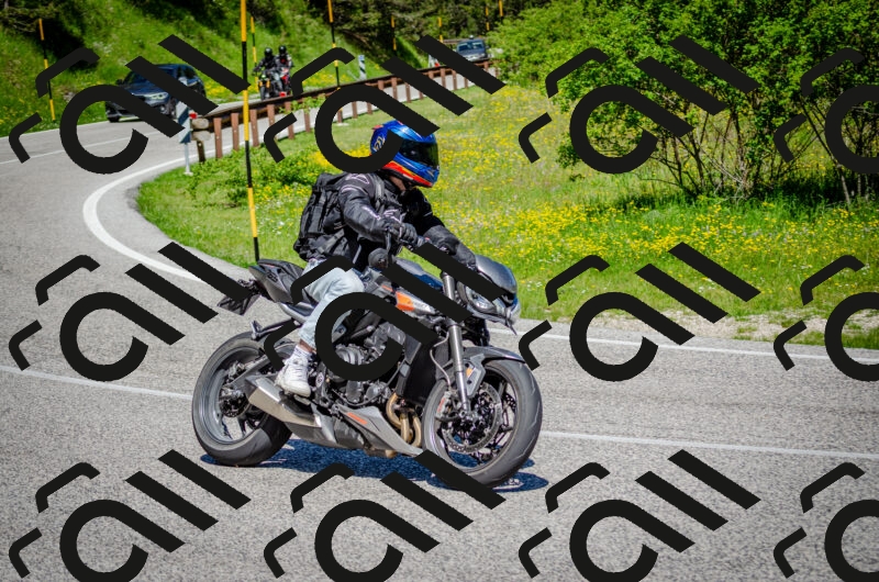 202506011113-DSC_3083_c2